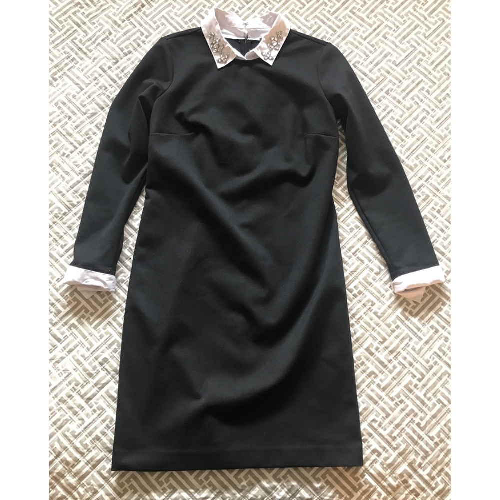 Ann Taylor | Shirtdress | XS